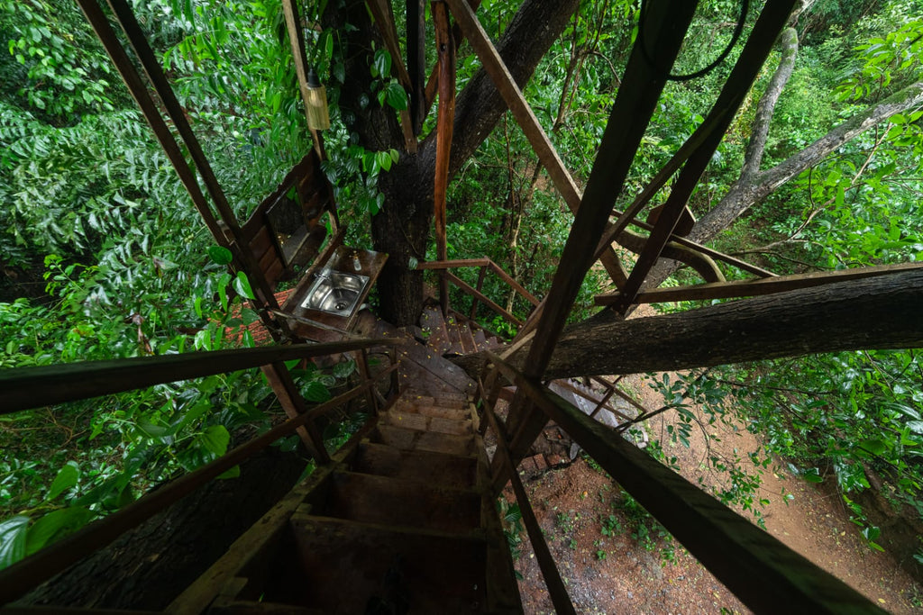 THE WILD PORTAL RETREAT