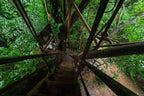 THE WILD PORTAL RETREAT