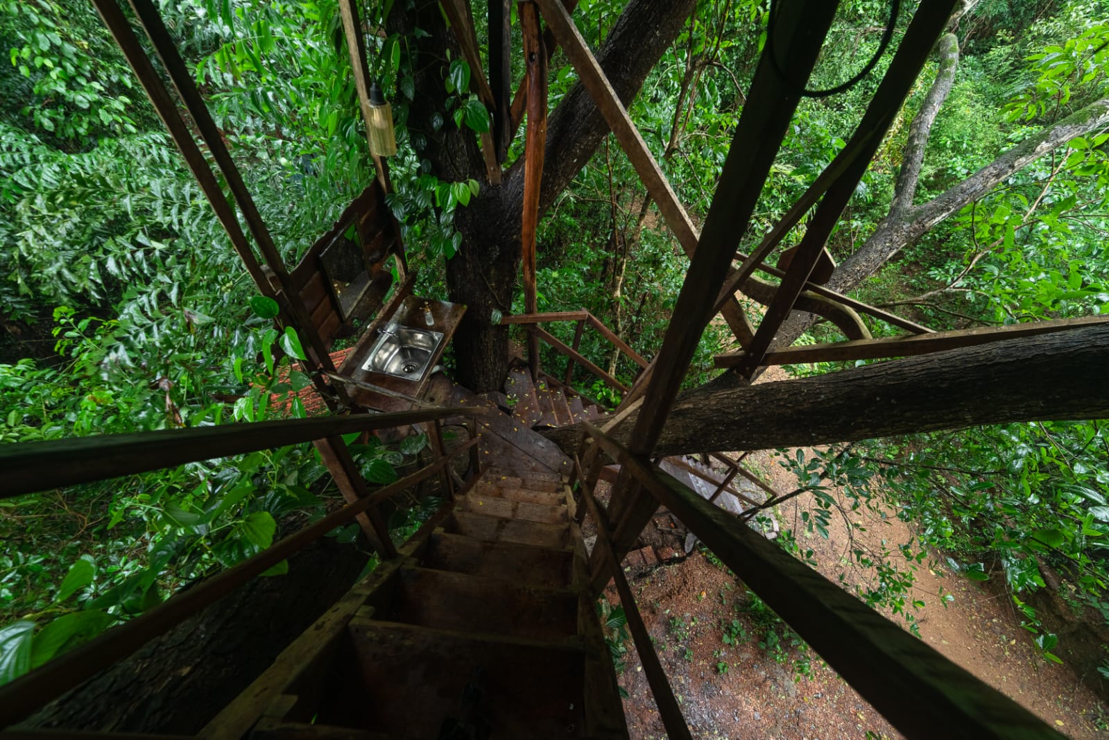 THE WILD PORTAL RETREAT