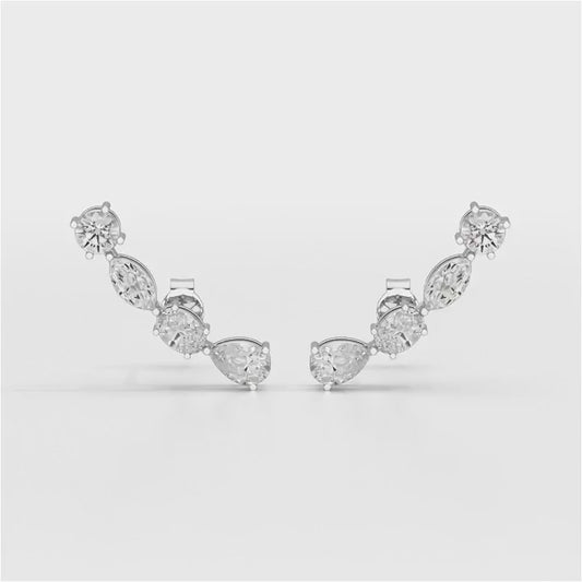 0.37 CT Lab Diamond Multi shape Earring